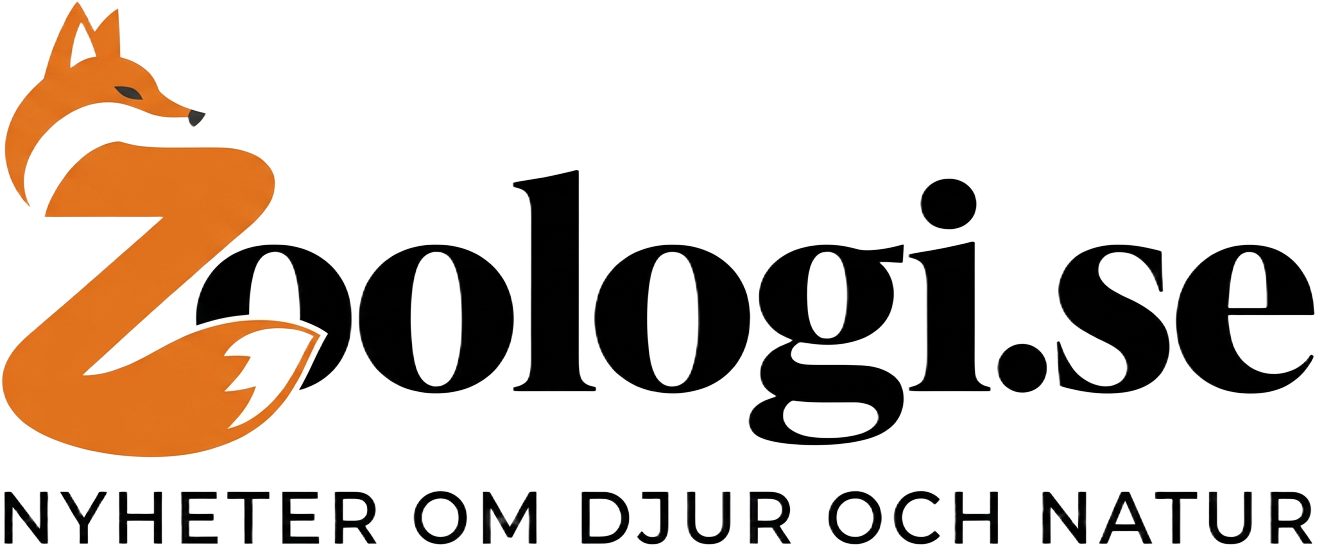 zoologi.se – räven som formar z:et